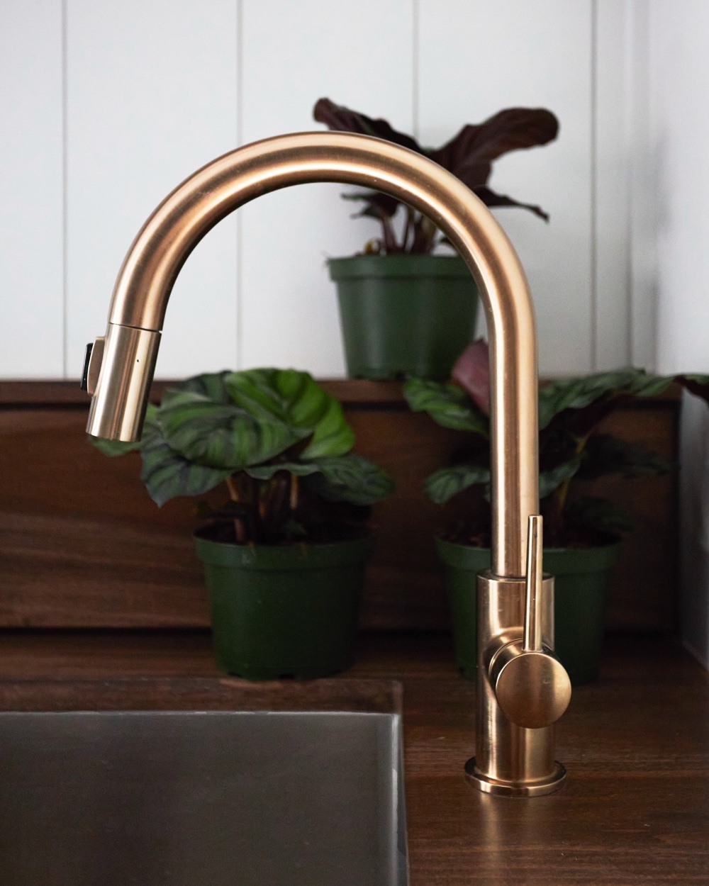 Brushed gold faucet close-up with plants, luxury renovation and interior design by Martire Custom Homes